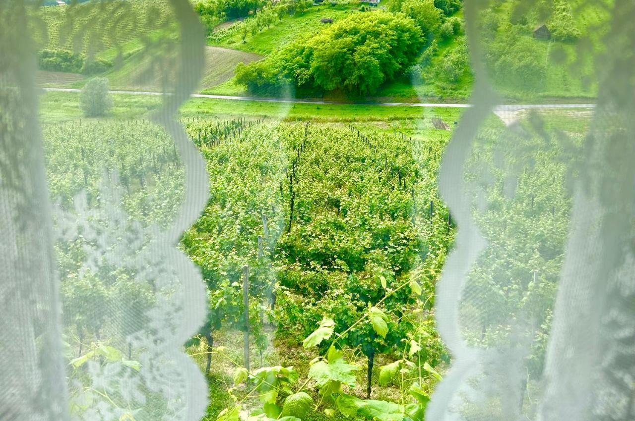 Wine Paradise Sveti Ivan Zelina Экстерьер фото