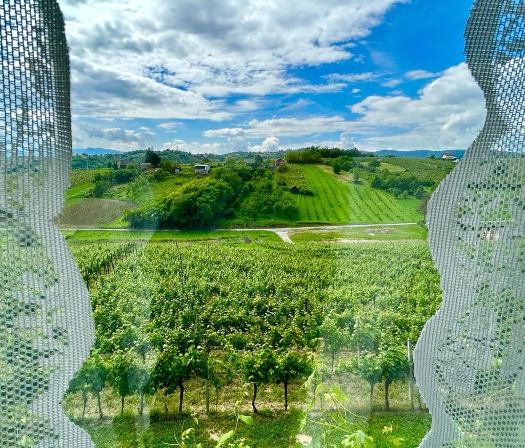 Wine Paradise Sveti Ivan Zelina Экстерьер фото