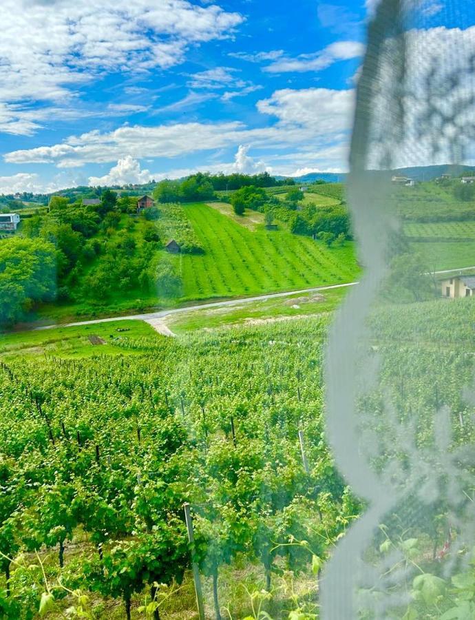 Wine Paradise Sveti Ivan Zelina Экстерьер фото