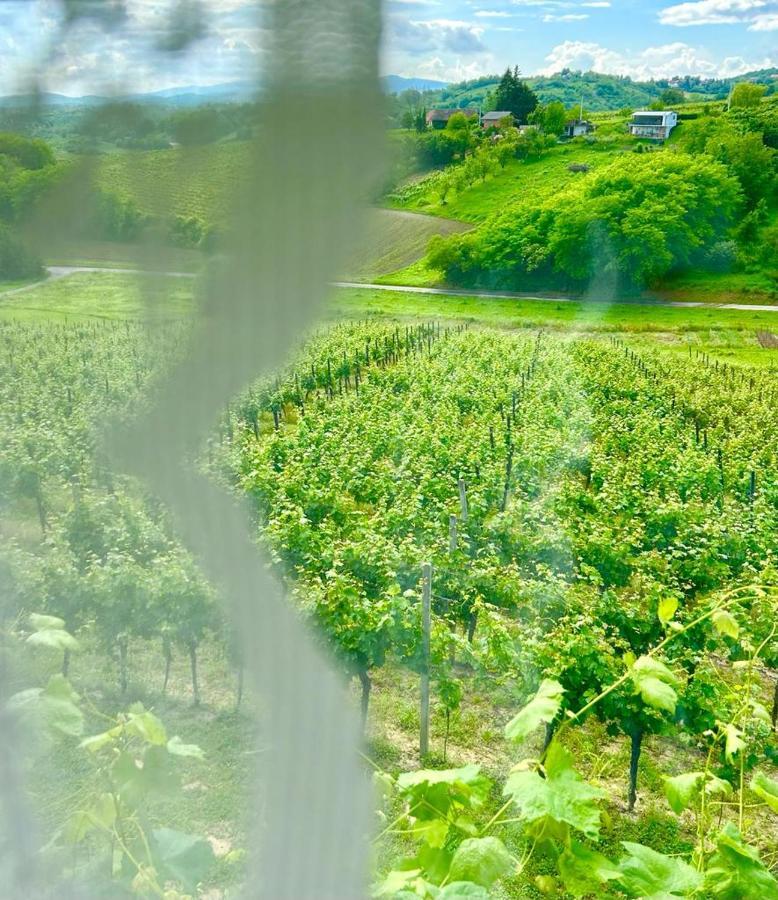 Wine Paradise Sveti Ivan Zelina Экстерьер фото