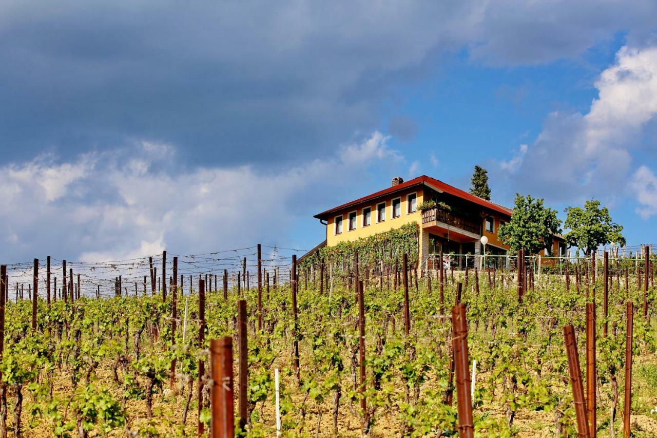 Wine Paradise Sveti Ivan Zelina Экстерьер фото