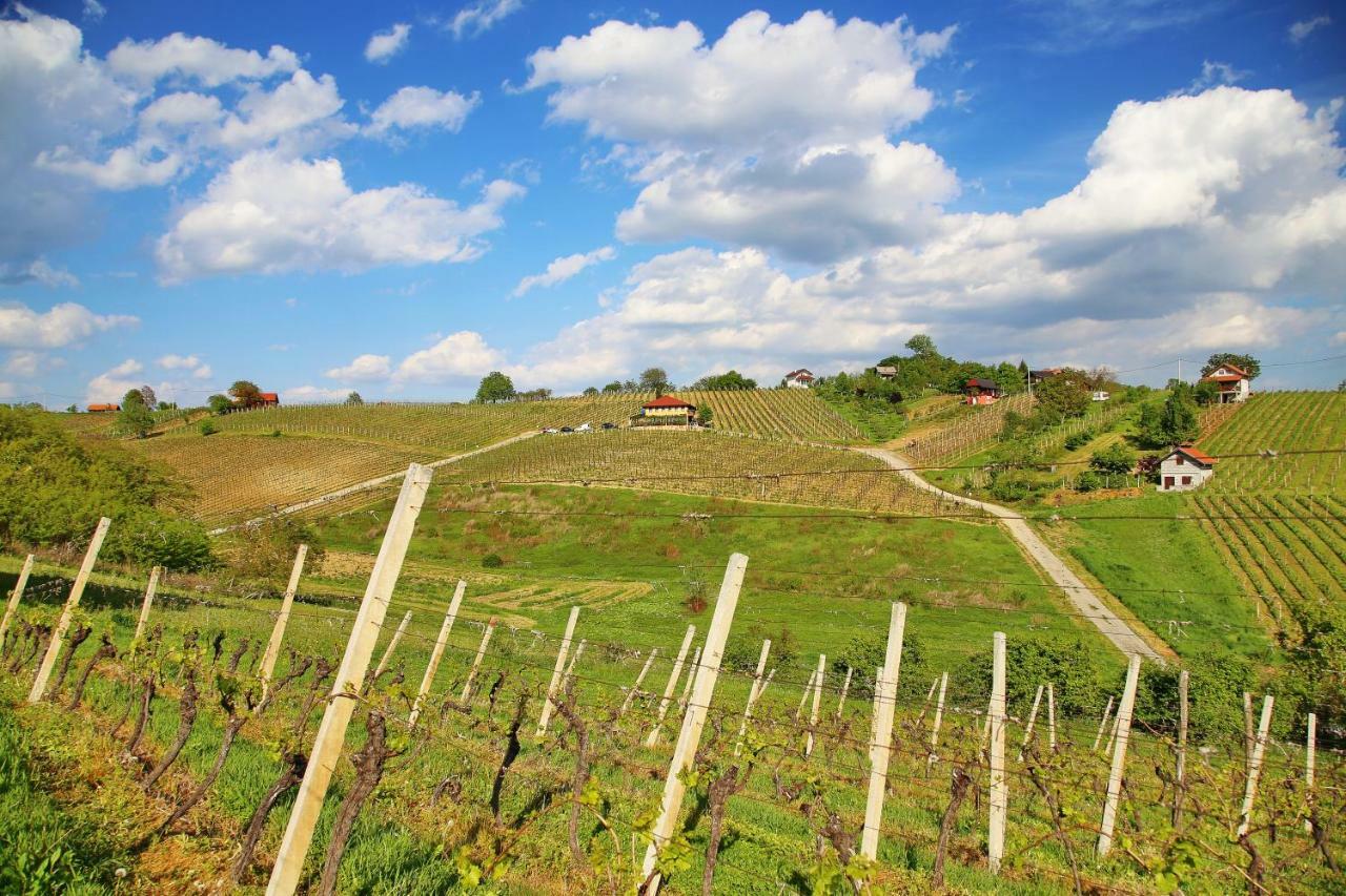 Wine Paradise Sveti Ivan Zelina Экстерьер фото